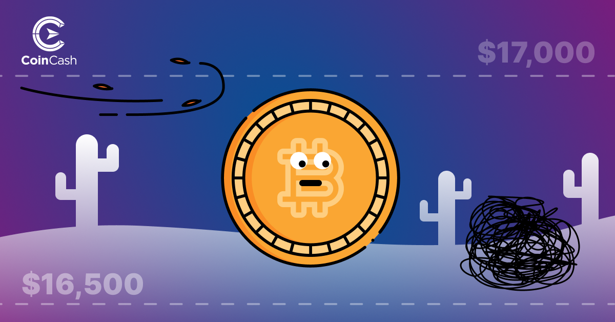 Bitcoin Hodler hírösszefoglaló - 51. hét